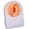 display-expositor-capa